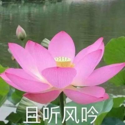 【境内疫情观察】江苏南京现本土疫情（7月20日）